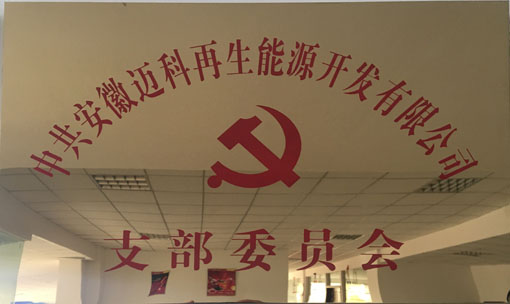 迈科党支部